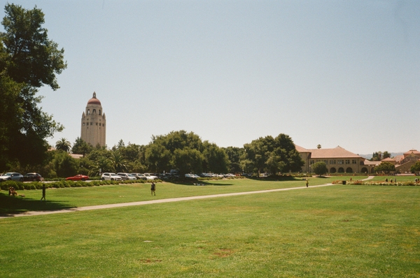 Gallery image 12
