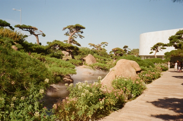 Gallery image 11