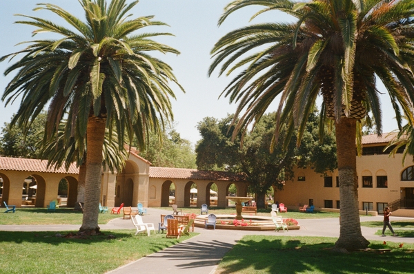 Gallery image 13