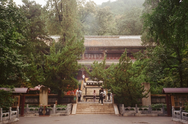 Gallery image 10